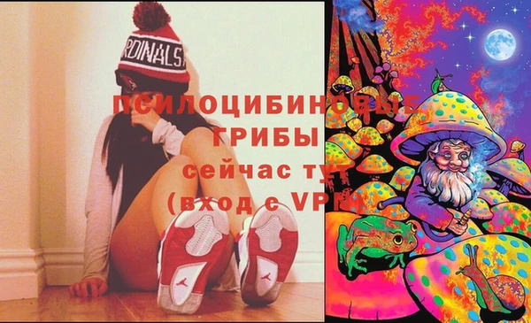 ешки Алексеевка