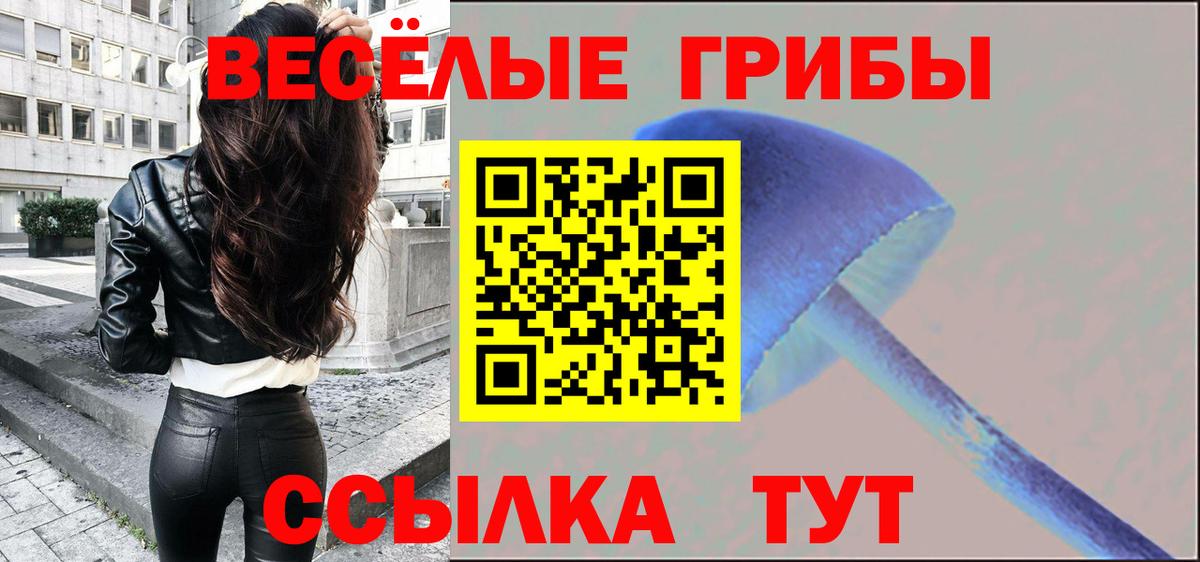 Дзержинский  Псилоцибиновые грибы прущие грибы  Вход с VPN  Галлюциногенные грибы GOLDEN TEACHER 